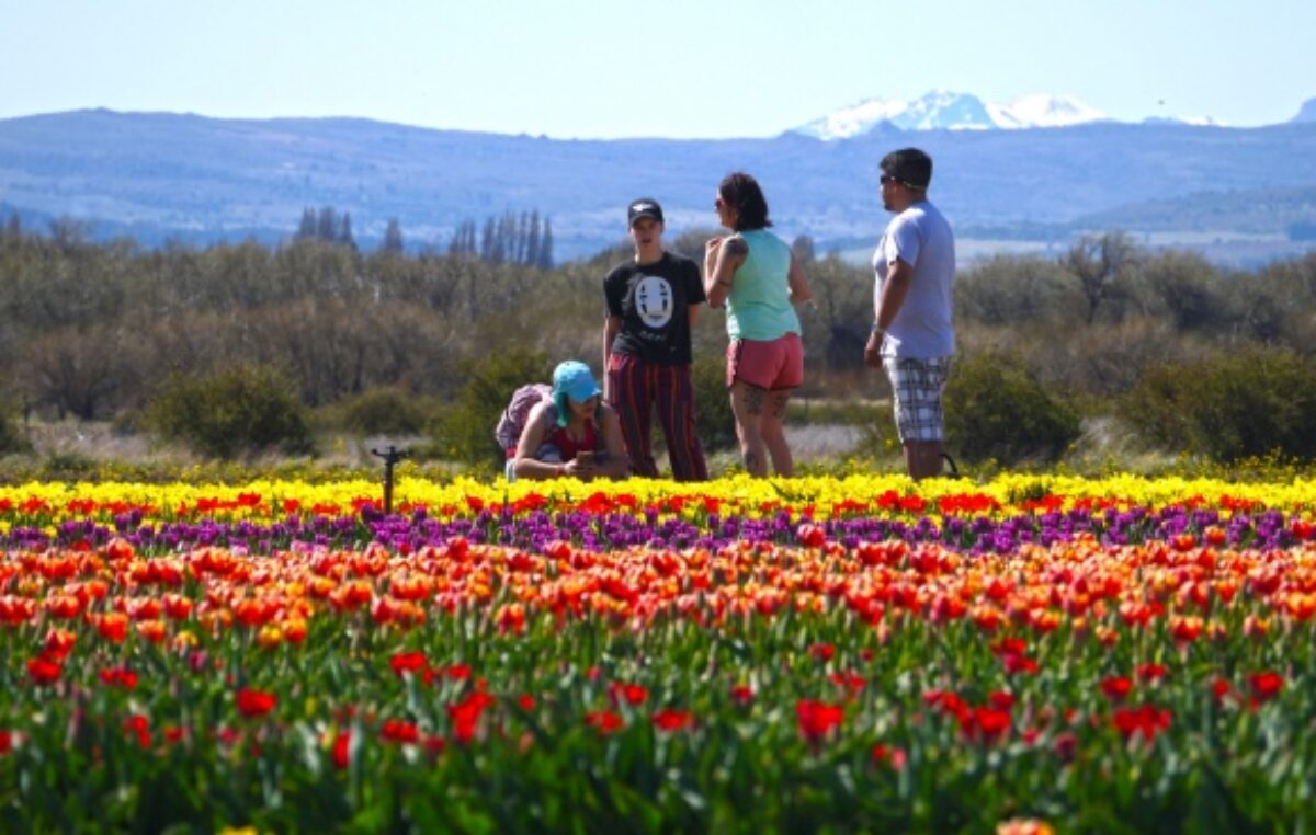 Tierra de tulipanes y otras escapadas soñadas por 150 pueblos se suman a Google Maps
