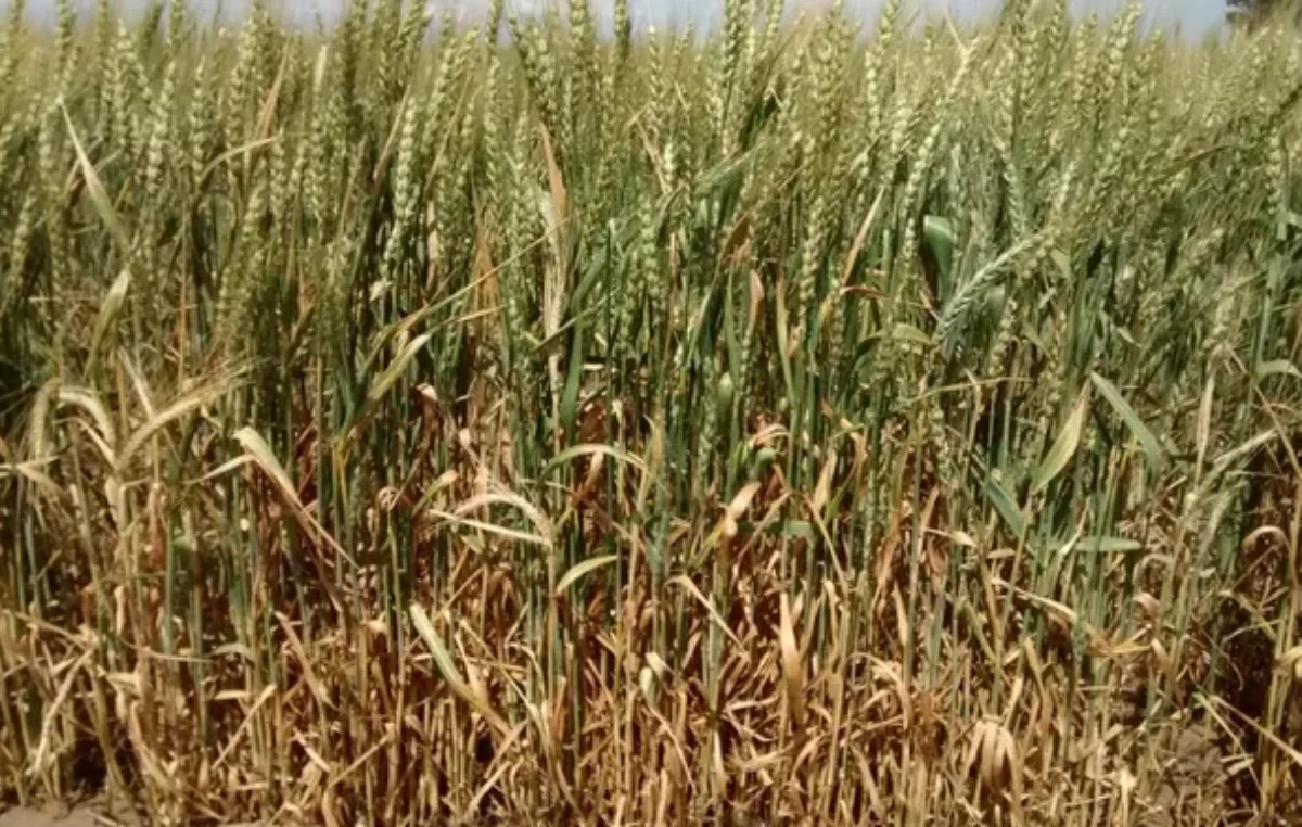 Seguridad, hidrovía y la sequía en el campo, los ejes del encuentro entre Perotti y Fernández