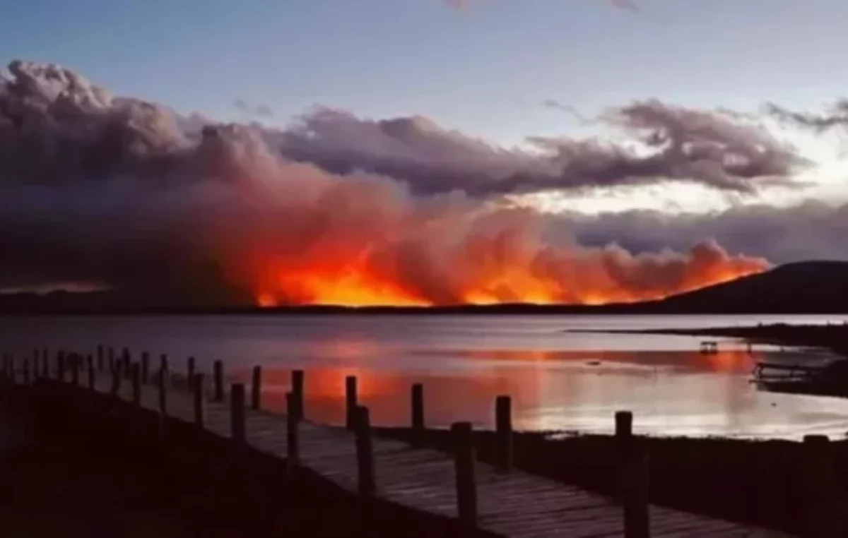Más de 9.000 hectáreas arrasadas por los incendios en Tierra del Fuego