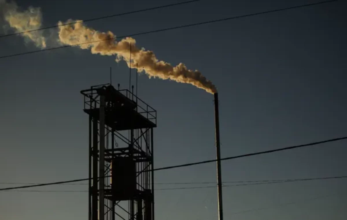 Cada vez más empresas rosarinas están interesadas en medir su huella de carbono