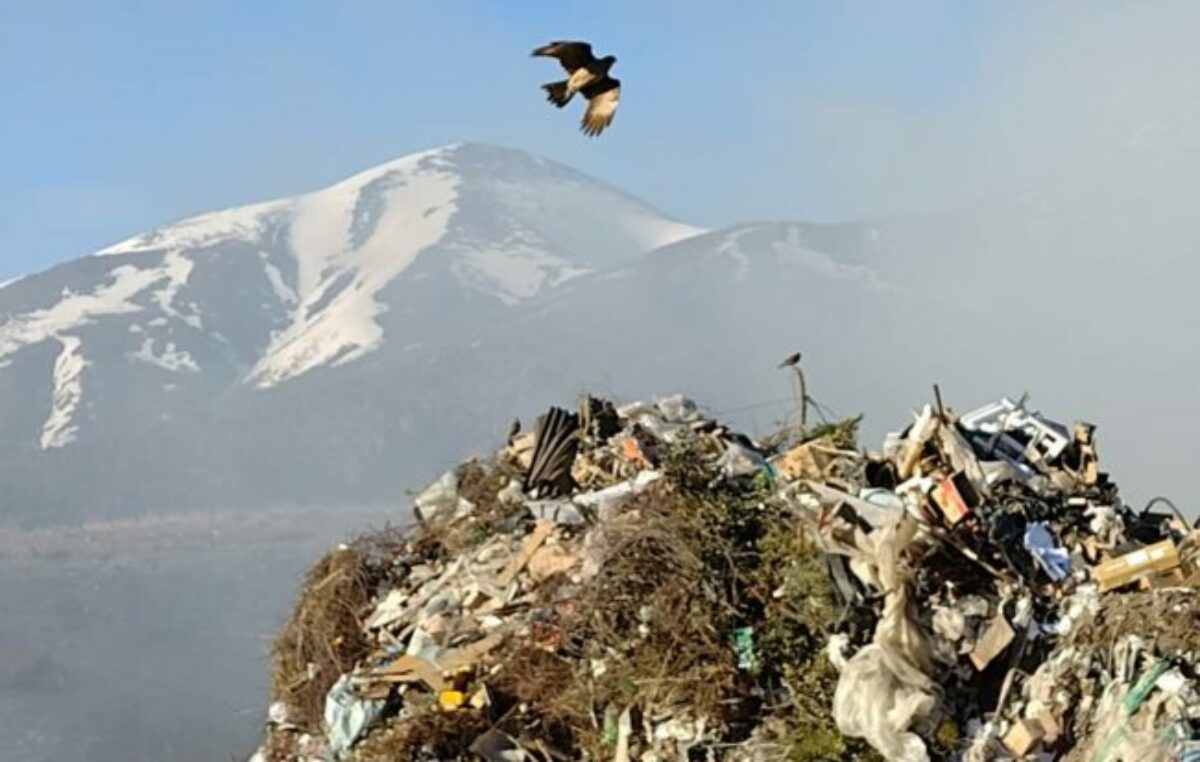 El intendente de Bariloche pedirá una sesión extraordinaria para licitar el saneamiento del basurero