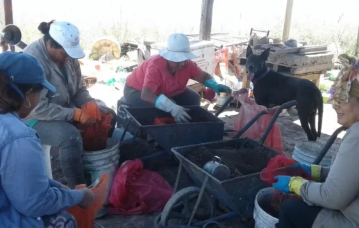 Una cooperativa revolucionó la recuperación de residuos en un pueblo cercano a Santa Fe