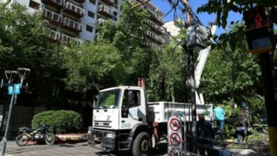 Hay alarma por falta de cuidado y el deterioro creciente del arbolado público de Mendoza