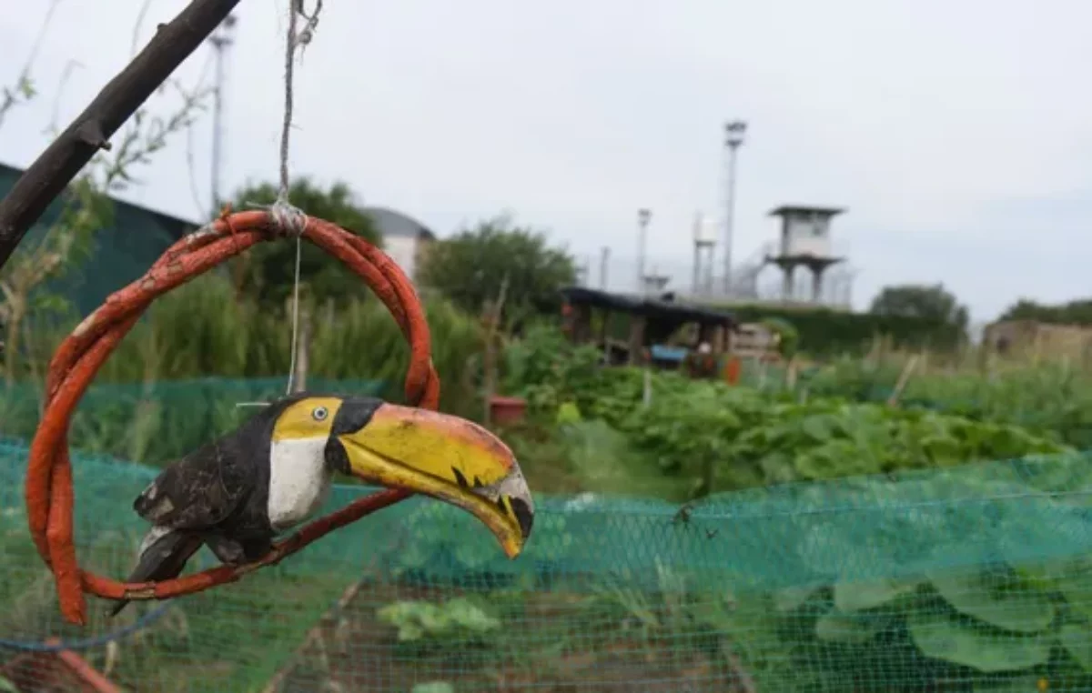 Inauguran mañana el octavo parque huerta agroecológico en el sudoeste de Rosario