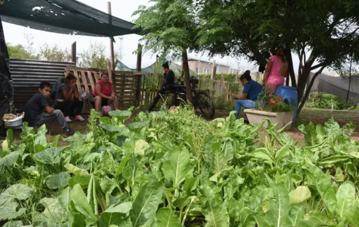 La agroecología le pone el pecho a la sequía en las huertas y quintas de Rosario
