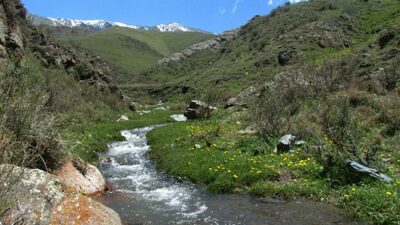Rincones y experiencias imperdibles para disfrutar este verano en Tupungato