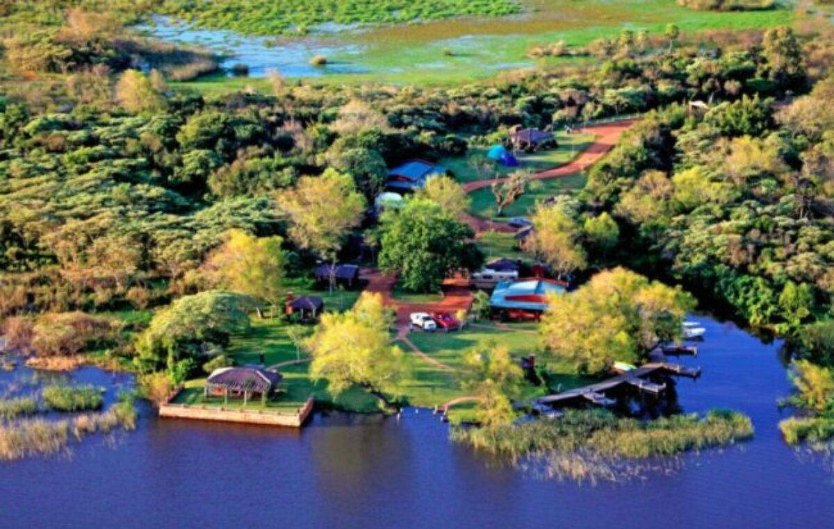 Carlos Pellegrini, 40 años después del inicio de la aventura de preservar el Iberá