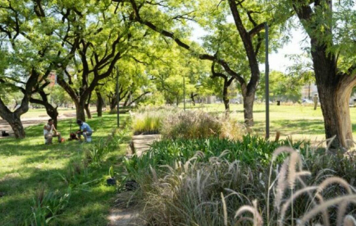 Ciudad de Córdoba: el Parque las Heras-Elisa sumó más de 30 mil árboles y arbustivas