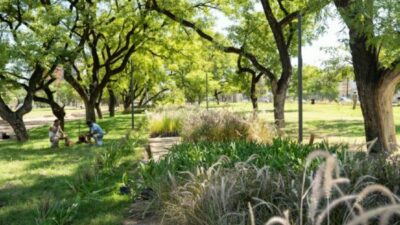 Ciudad de Córdoba: el Parque las Heras-Elisa sumó más de 30 mil árboles y arbustivas