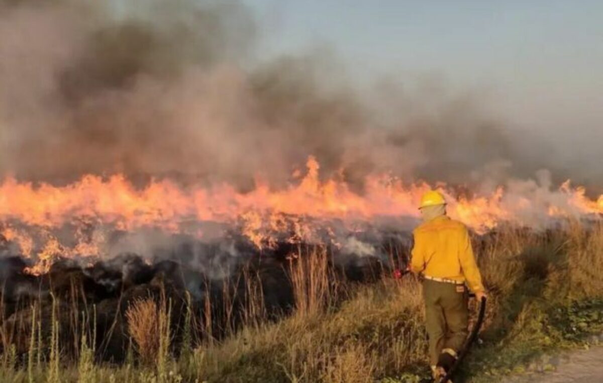 El incendio en un portal de los Esteros del Iberá lleva más de 50 días y arrasó con 5 mil hectáreas