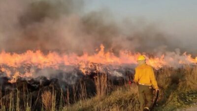 El incendio en un portal de los Esteros del Iberá lleva más de 50 días y arrasó con 5 mil hectáreas