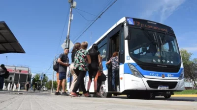 La Muni de Neuquén busca que el COLE sea la primera opción de movilidad