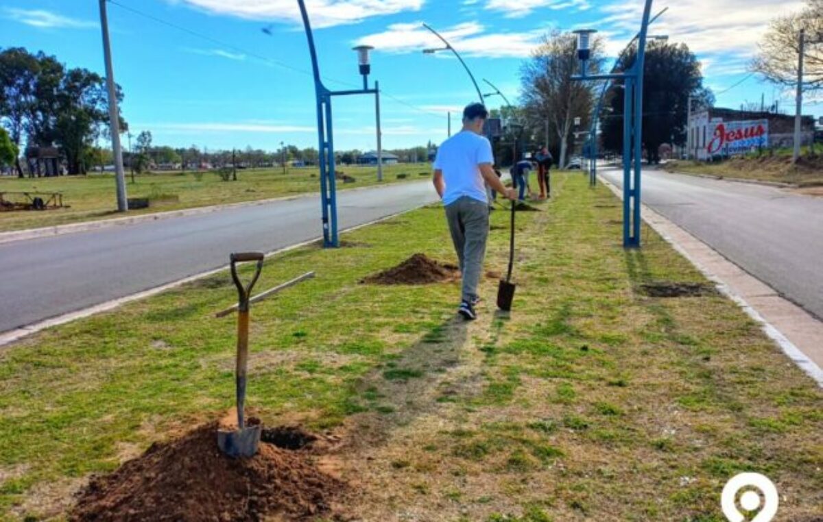 Vecinos de Sampacho propusieron un plan para recuperar el arbolado público