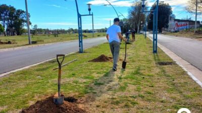 Vecinos de Sampacho propusieron un plan para recuperar el arbolado público