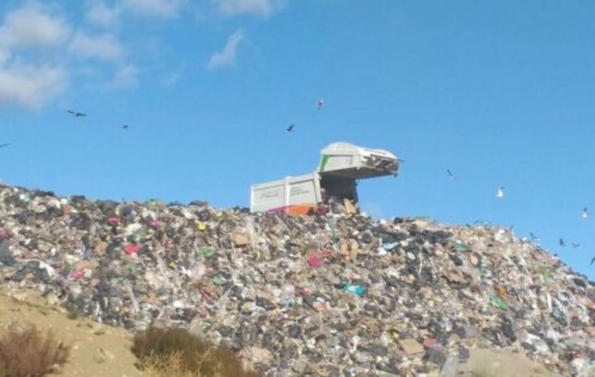 Preocupa el futuro de la fauna local tras el cierre del vertedero de Bariloche