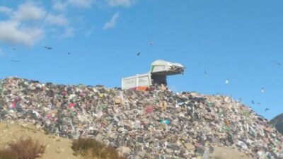 Preocupa el futuro de la fauna local tras el cierre del vertedero de Bariloche