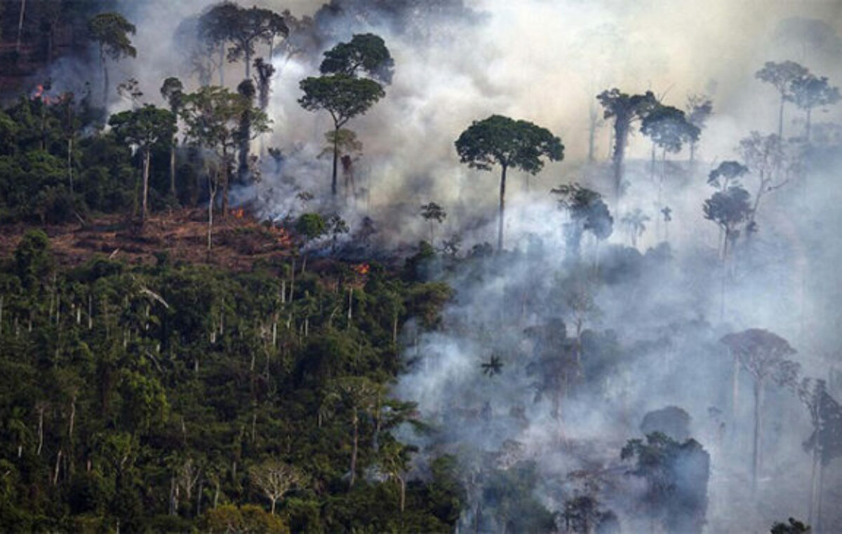 A pesar de Lula, continúa la deforestación en la Amazonia