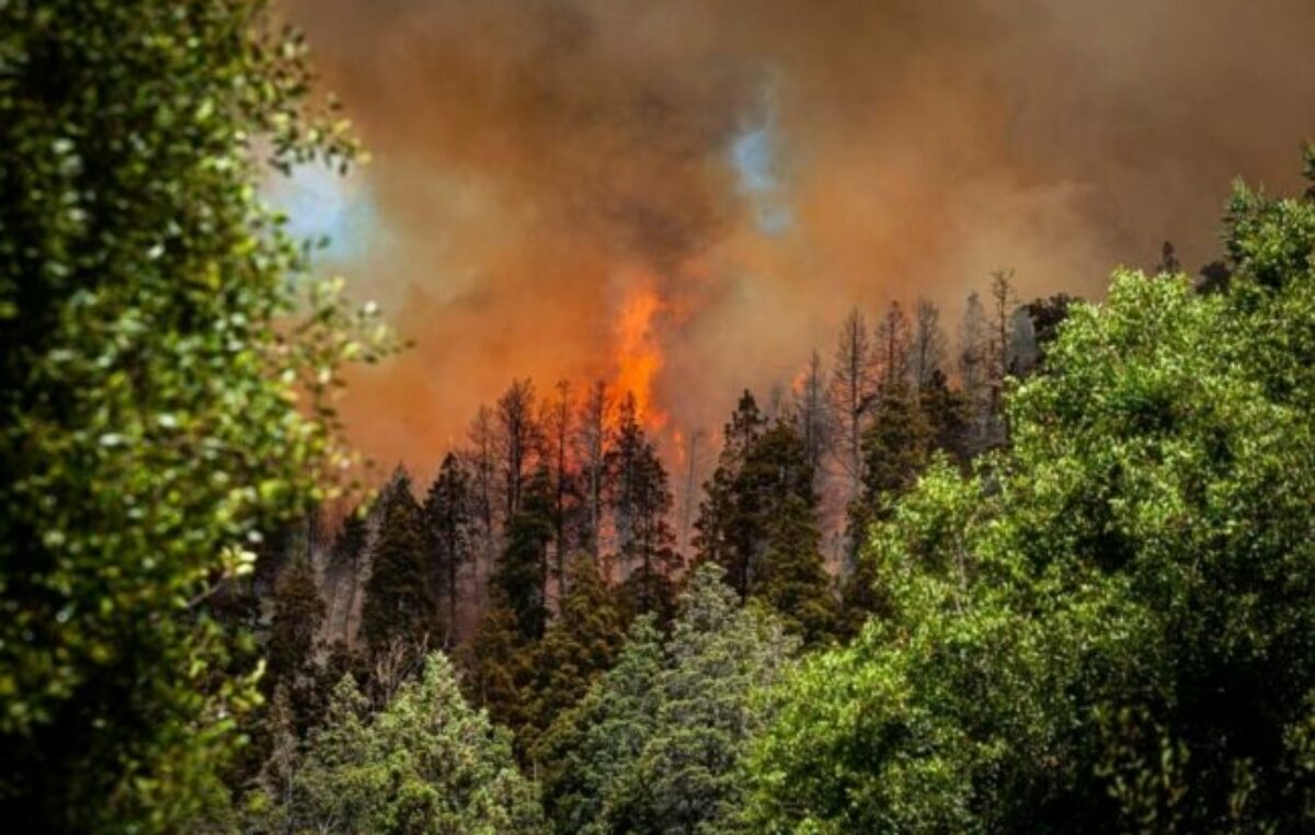 El Bolsón: Más de 200 hectáreas consumidas por el incendio que permanece activo en Cascada Escondida