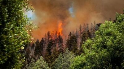 El Bolsón: Más de 200 hectáreas consumidas por el incendio que permanece activo en Cascada Escondida