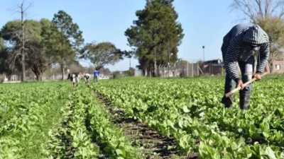 Córdoba: “El negocio inmobiliario fue copando lo que eran tierras para producir”