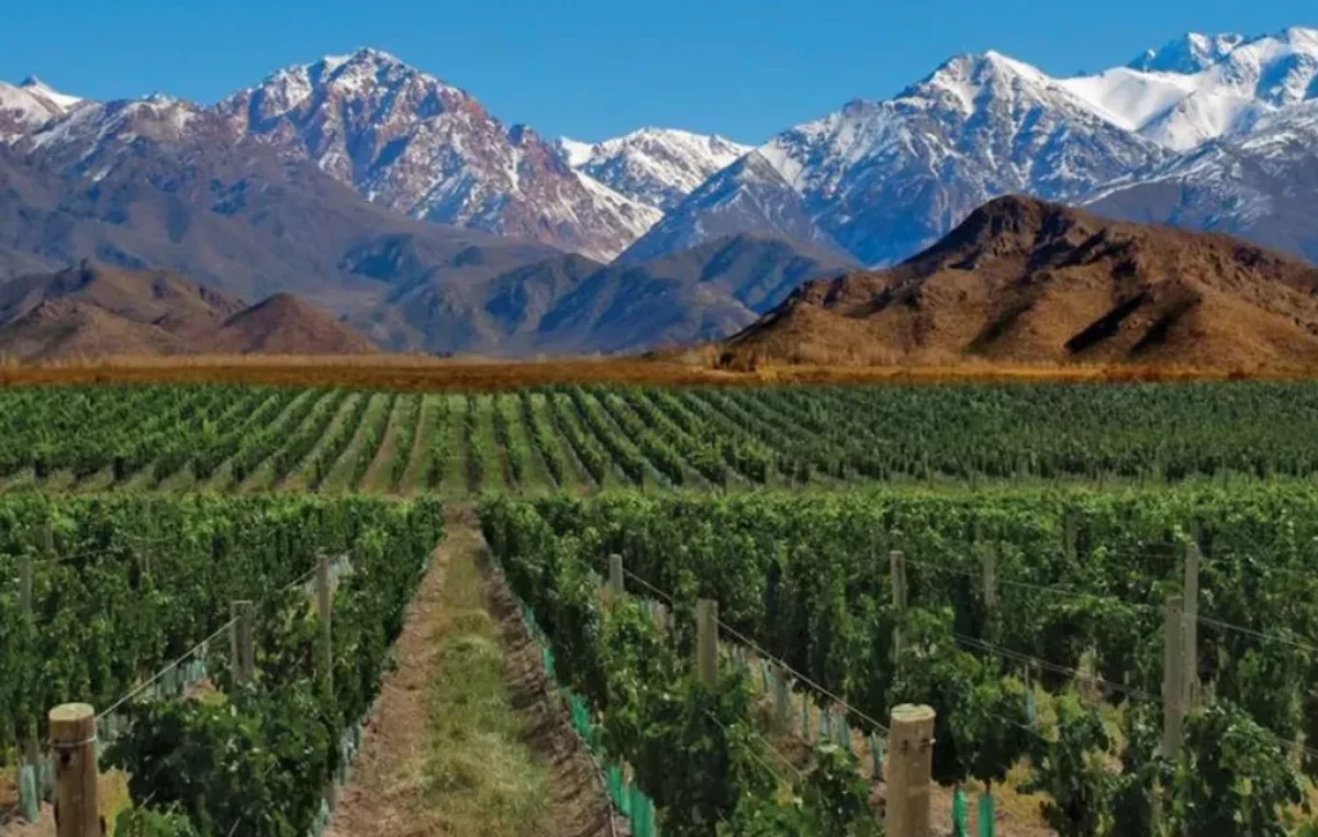 Dónde queda y qué se puede hacer en la Tierra del Malbec, el destino que rinde culto a esta uva en Mendoza