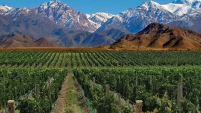 Dónde queda y qué se puede hacer en la Tierra del Malbec, el destino que rinde culto a esta uva en Mendoza
