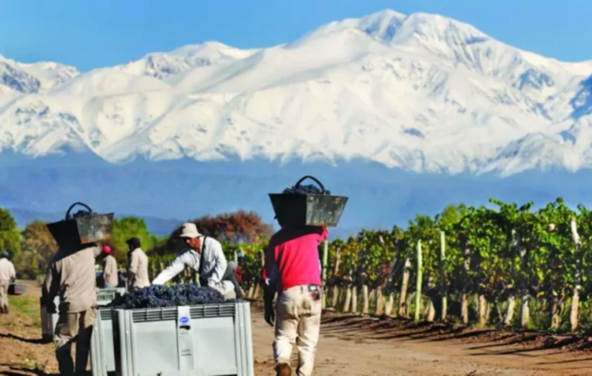 Establecen los requisitos para sumarse al Programa de Incremento Exportador