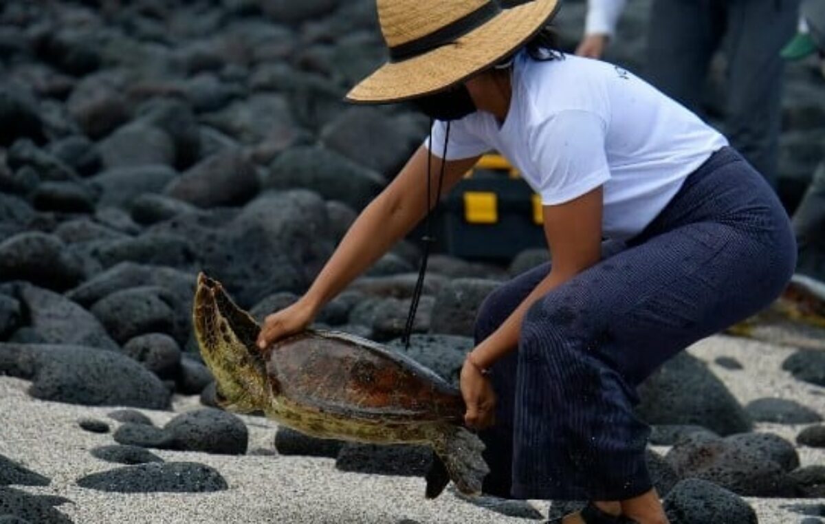 Inédito: Ecuador logró el canje de deuda por conservación de la naturaleza más grande del mundo