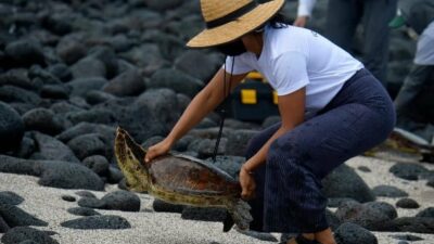 Inédito: Ecuador logró el canje de deuda por conservación de la naturaleza más grande del mundo