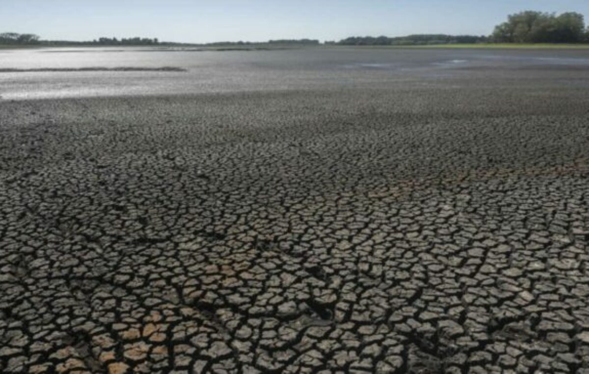 Uruguay padece la mayor sequía de los últimos 74 años