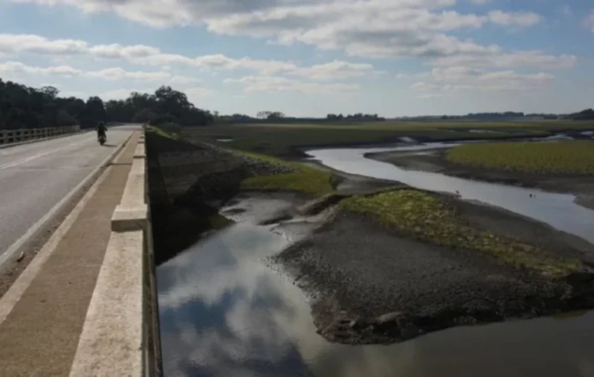 Uruguay podría quedarse sin agua debido a una sequía histórica: las desesperadas medidas para garantizar el servicio
