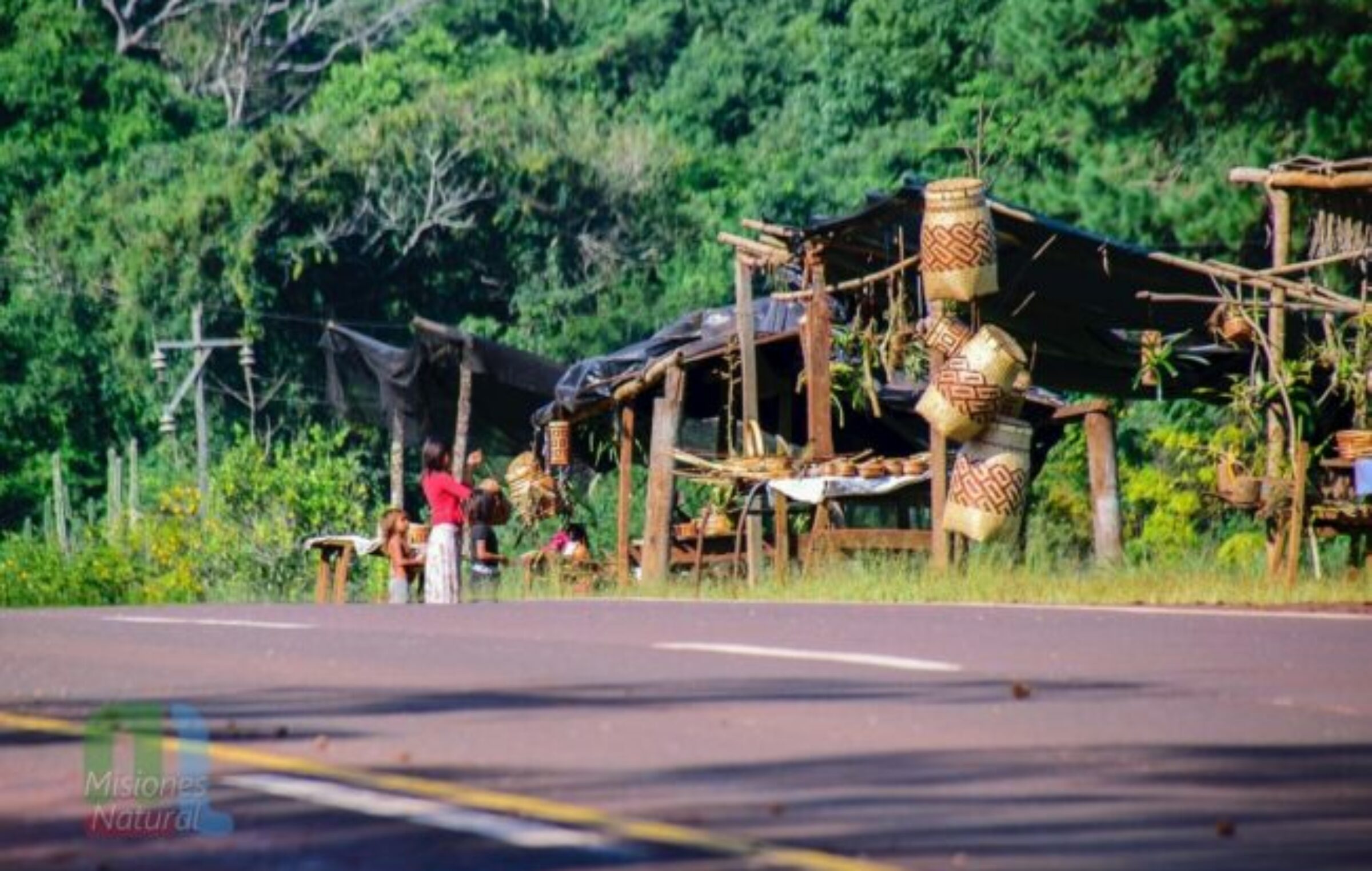 Misiones Las comunidades guaraníes se suman al plan de Restauración