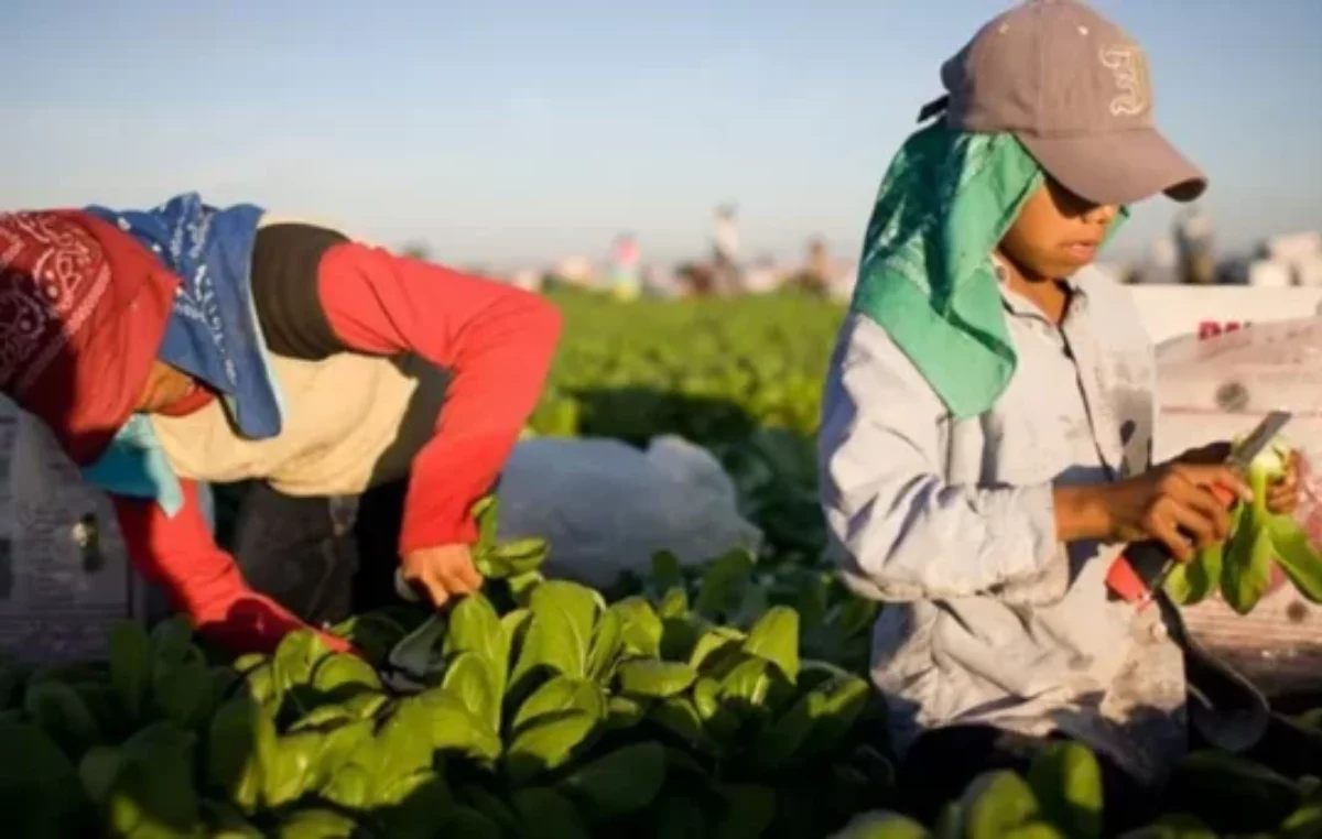 El trabajo infantil, flagelo que afecta a Argentina y el mundo