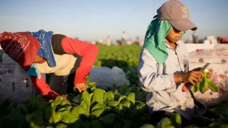 El trabajo infantil, flagelo que afecta a Argentina y el mundo