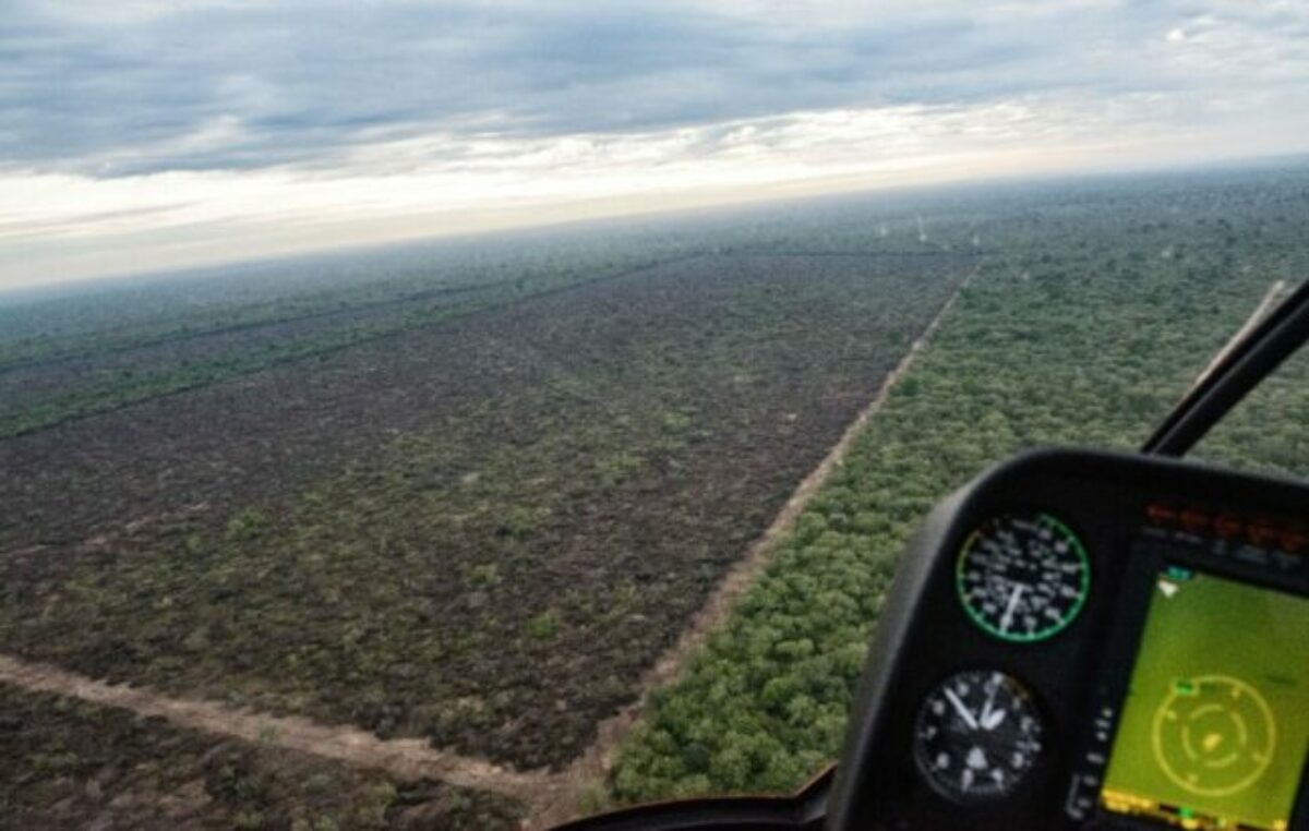 Consulta Popular sobre el castigo para desmontes ilegales e incendios