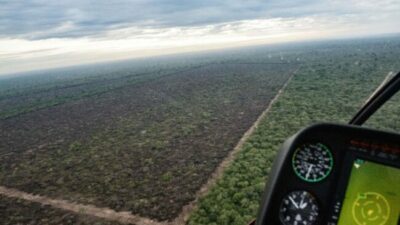 Consulta Popular sobre el castigo para desmontes ilegales e incendios