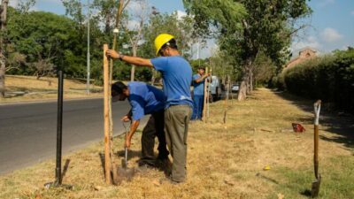 El plan de arborización en Rosario ya sumó 4 mil nuevos árboles