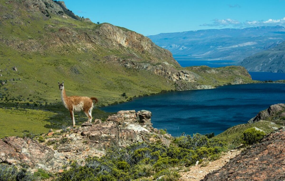 Los Antiguos se reinventa para el invierno