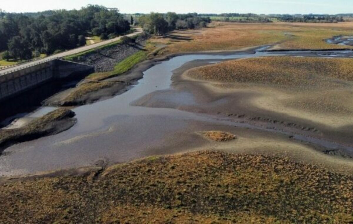 Crisis hídrica en Uruguay: la falta de lluvias y la escasez de reservas amenazan con dejar sin agua potable a millones de personas