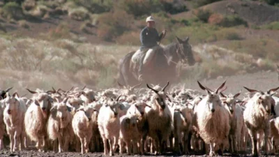 Cómo es la vida de los puesteros trashumantes malargüinos del Paso Pehuenche