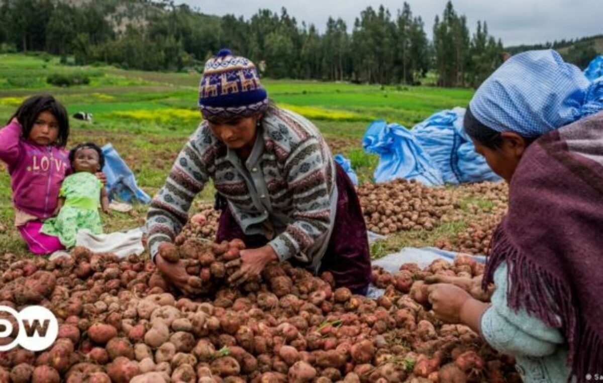 El 45% de las tierras en Bolivia está en manos de mujeres