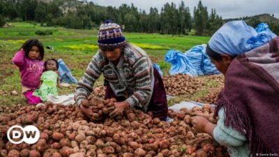 El 45% de las tierras en Bolivia está en manos de mujeres