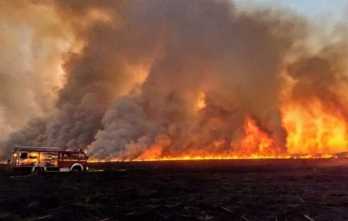 Piden la creación de fiscalías y fueros provinciales para denuncias de delitos ambientales en Santa Fe