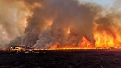 Piden la creación de fiscalías y fueros provinciales para denuncias de delitos ambientales en Santa Fe