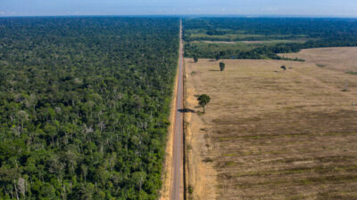 Inversión millonaria de Brasil para recuperar sus bosques