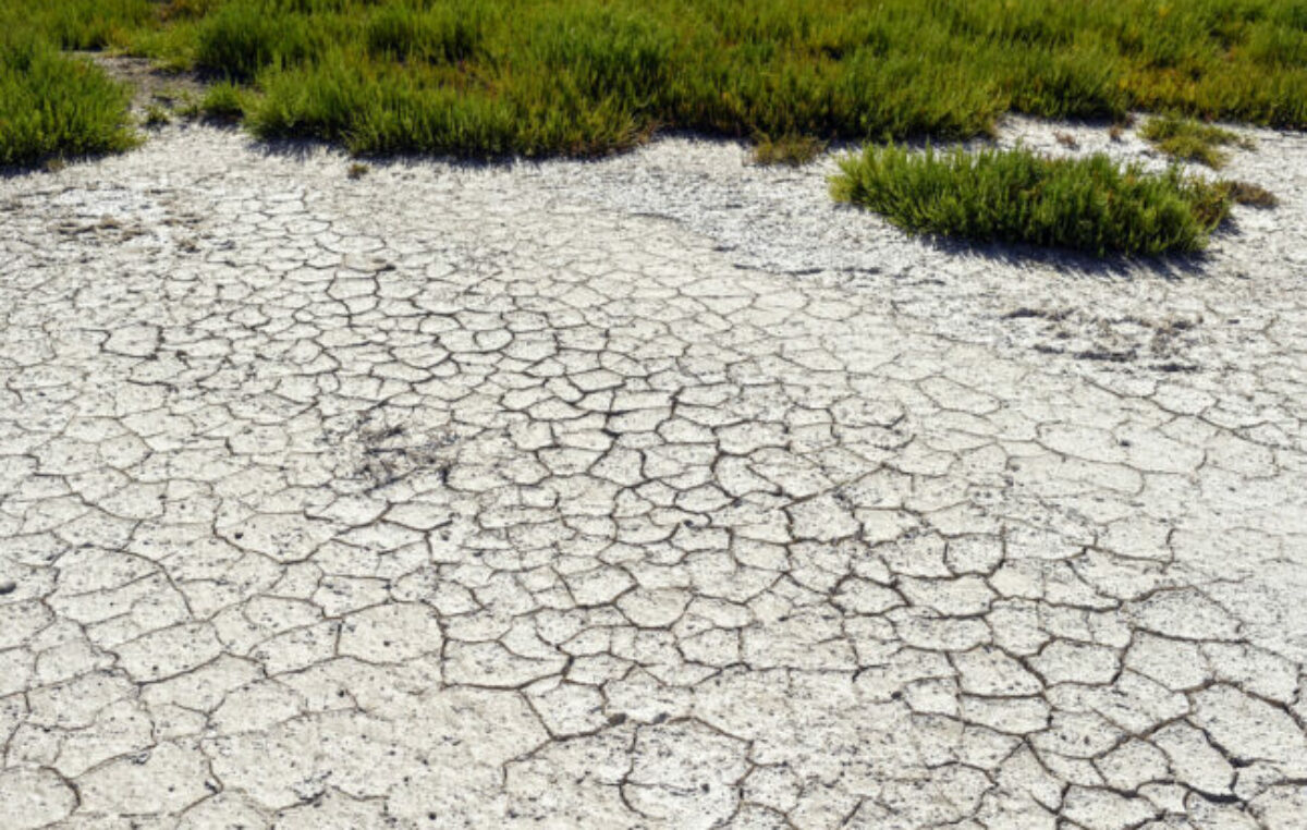 Las olas de calor podrían restarle 0,6 puntos al crecimiento global de este año