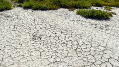 Las olas de calor podrían restarle 0,6 puntos al crecimiento global de este año