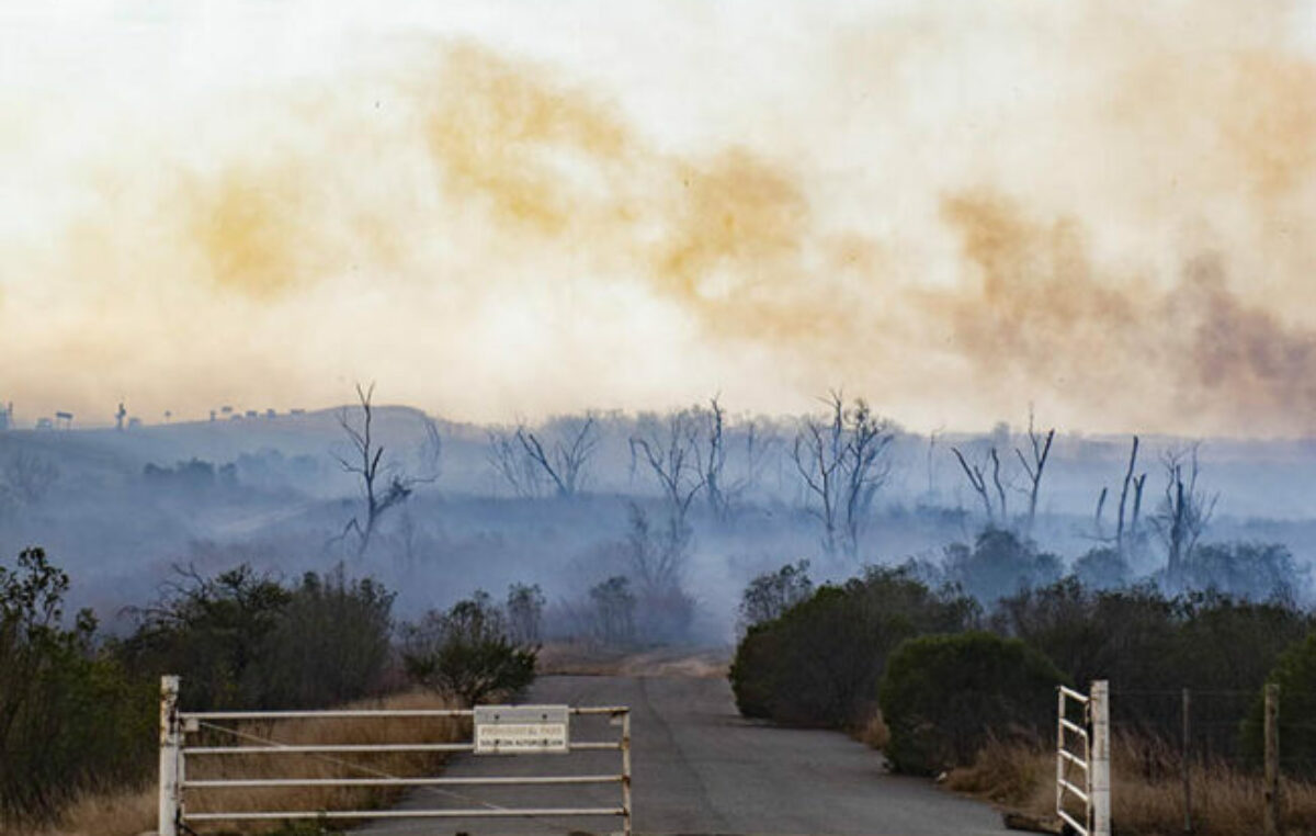 Una asociación de defensa ambiental pidió a la Corte Nacional la reparación integral del Humedal