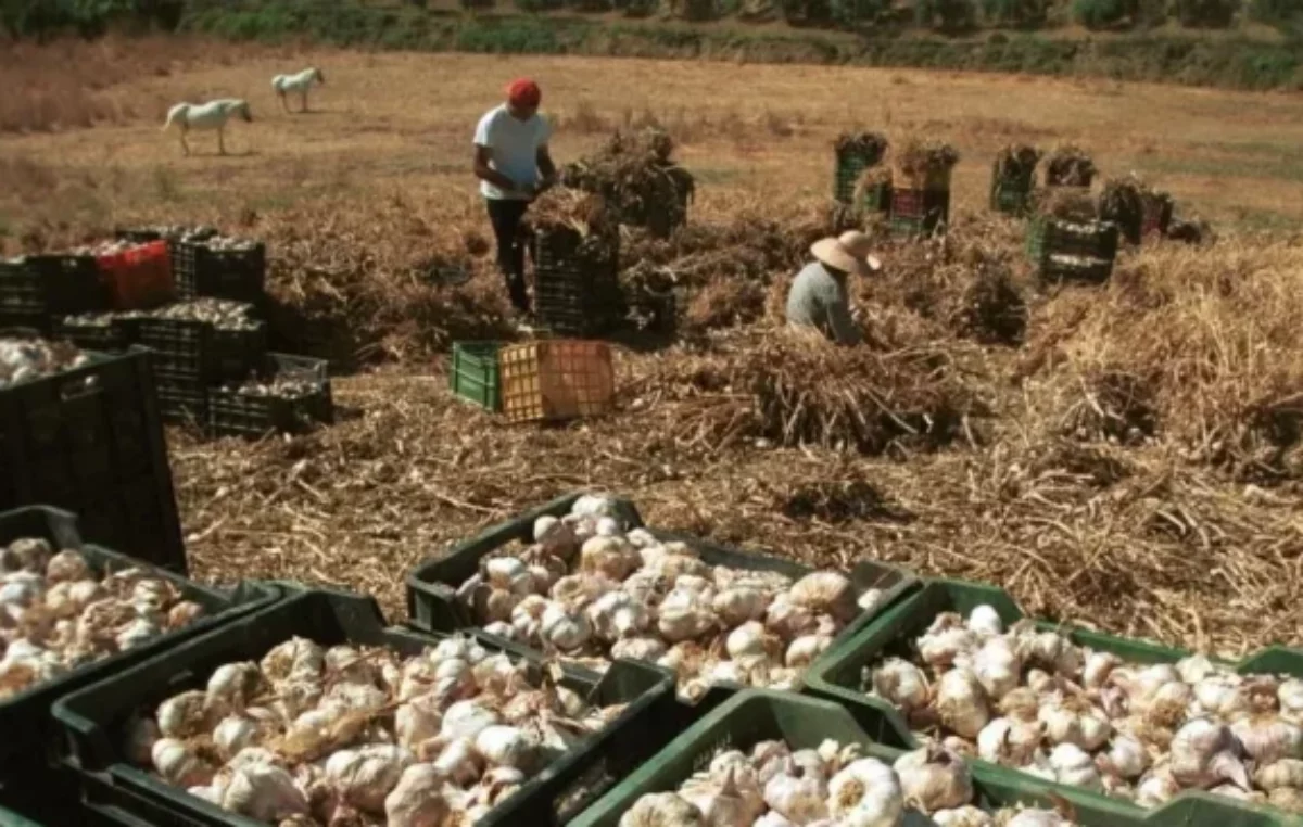 Un dato que duele: cuál es el porcentaje de trabajo en negro en Argentina