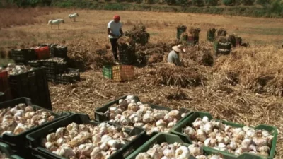 Un dato que duele: cuál es el porcentaje de trabajo en negro en Argentina